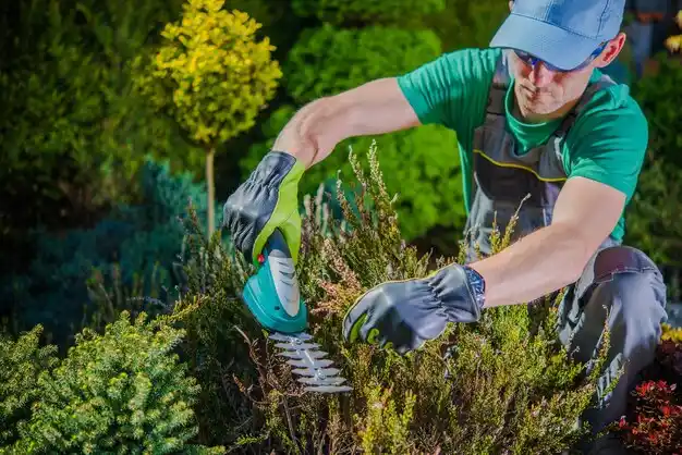 landscaping services Olean